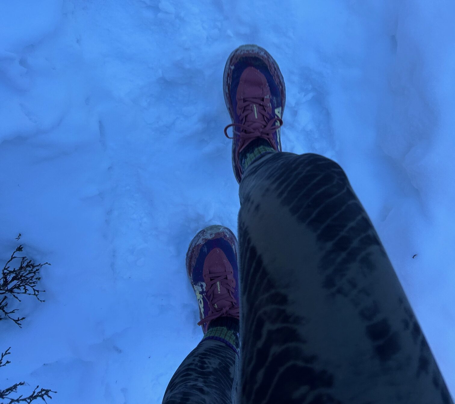 Hoka Speedgoat 6 review:  make or break your backpacking adventure