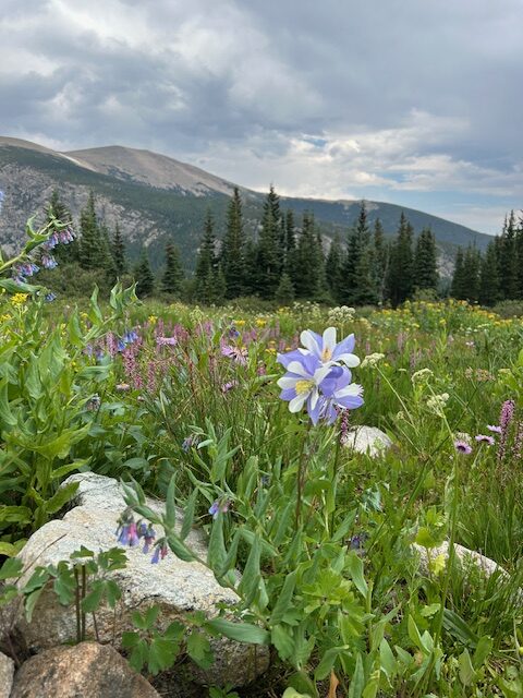 The Colorado Backpacking Trip that’s Better Than Four Pass Loop